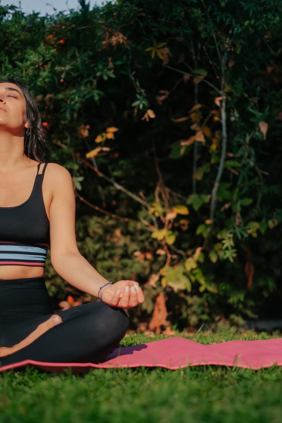 Guided Meditation Session